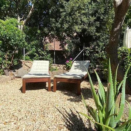 Villa Casa Maia With Shared Swimming Pool Palau